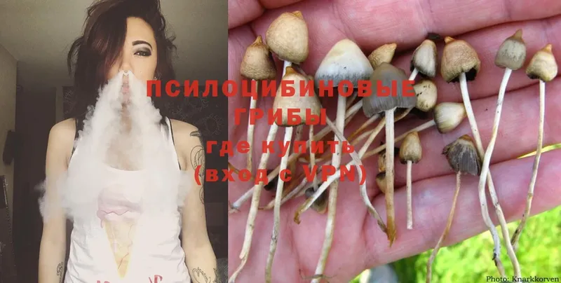 Галлюциногенные грибы MAGIC MUSHROOMS  Данилов 